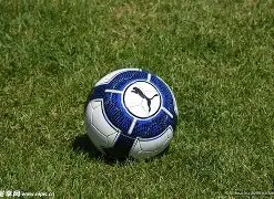 羽毛球热度,激增,网友惊呼技,澳门威尼斯人娱乐官网官网玩家首选,澳门威尼斯人娱乐官网官网H5,澳门威尼斯人娱乐官网官网游戏平台